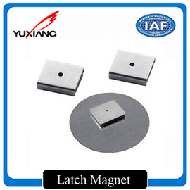High Corrosion Resistance Custom Made Magnets Latch Magnet For Speakers